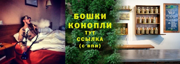 дживик Верея