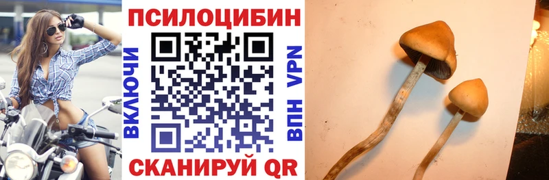 Псилоцибиновые грибы GOLDEN TEACHER  купить   Гаврилов-Ям 